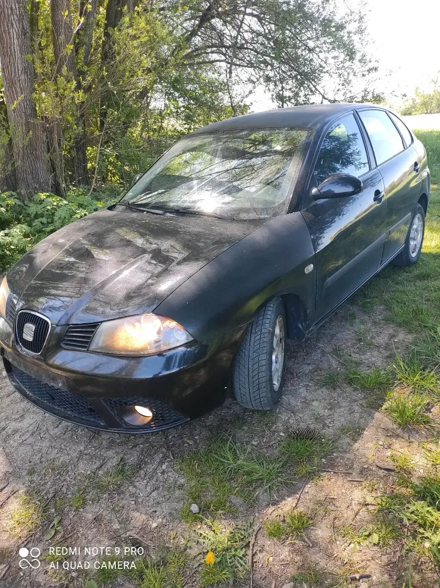 Second-hand Seat Ibiza 75 CP (55 kW) 2006 Negru Hatchback
