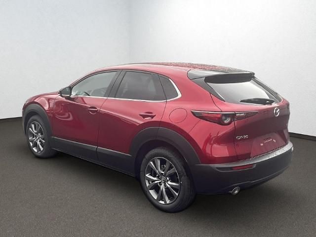 Gebraucht Mazda CX-30 Exclusive 186 PS (136 kW) 2025 Rot SUV