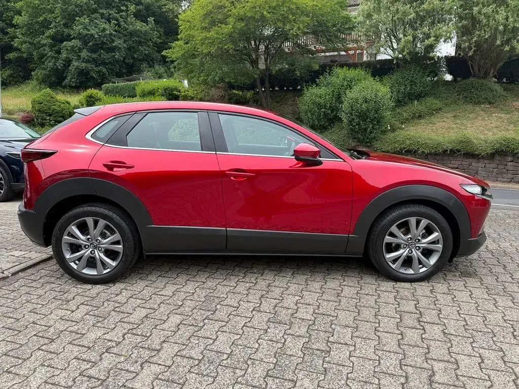 Gebraucht Mazda CX-30 Selection 186 PS (136 kW) 2022 Rot SUV