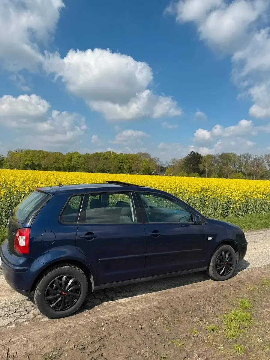 Gebraucht VW Polo 60 PS (44 kW) 2002 Violet Kleinwagen