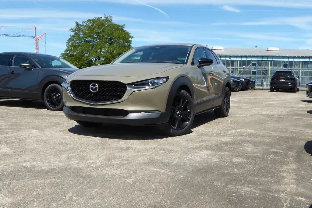 Neu Mazda CX-30 Homura-Line 140 PS (102 kW) 2026 Braun SUV