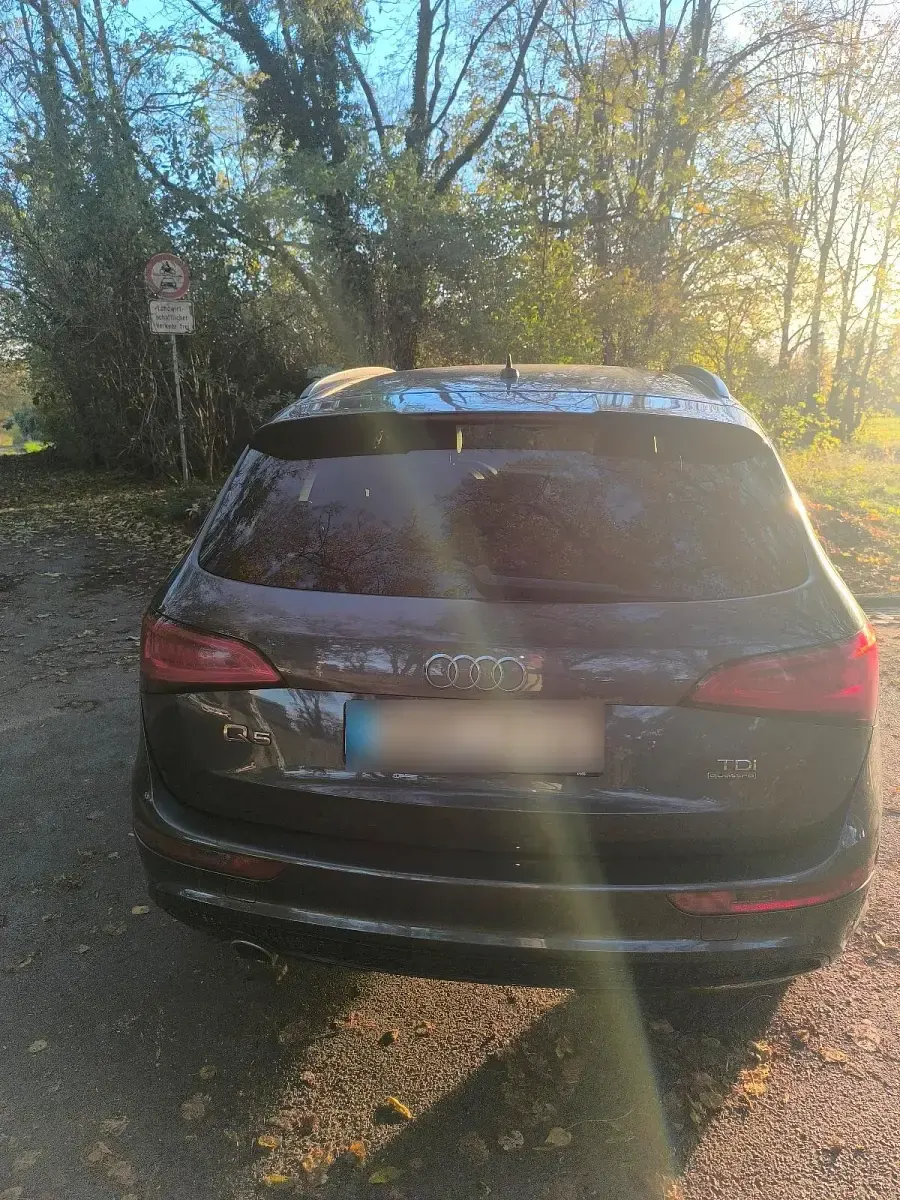 Gebraucht Audi Q5 S-Line 190 PS (139 kW) 2016 Grau SUV