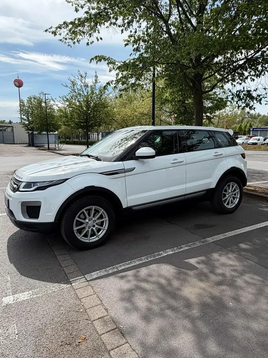 Gebraucht Land Rover Range Rover evoque 150 PS (110 kW) 2016 Weiß Kombi