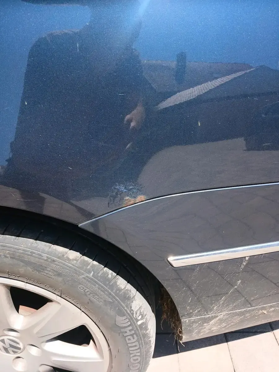 Gebraucht VW Passat 170 PS (125 kW) 2008 Kombi