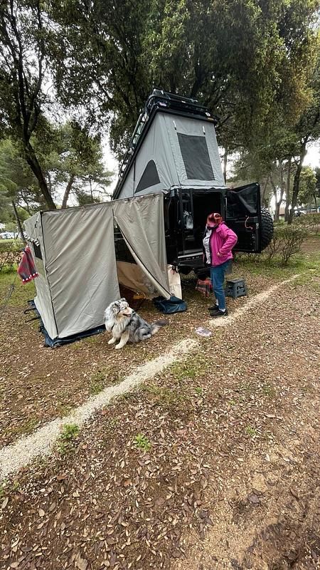 Gebraucht Land Rover Defender 122 PS (89 kW) 2011 Schwarz Van