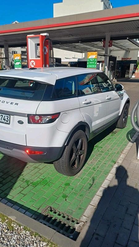 Gebraucht Land Rover Range Rover evoque 2013 Weiß SUV
