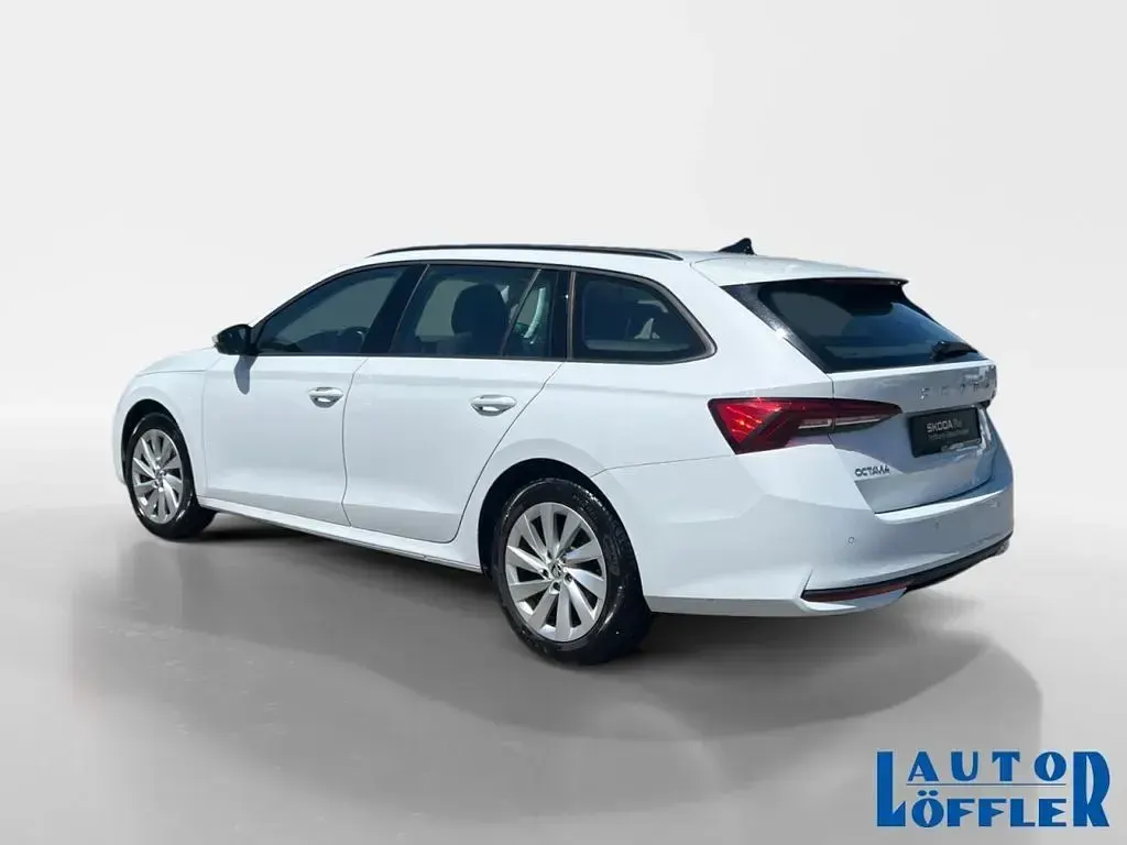 Gebraucht Skoda Octavia Selection 150 PS (110 kW) 2024 Moonweiß (metallic) Kombi