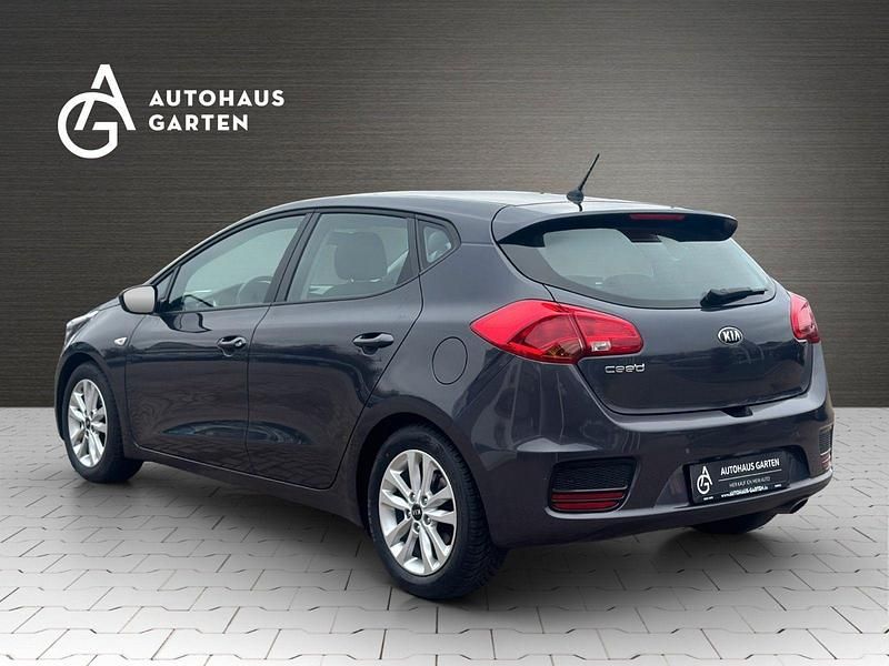 Gebraucht Kia Ceed Edition 7 99 PS (72 kW) 2017 Grau Kleinwagen