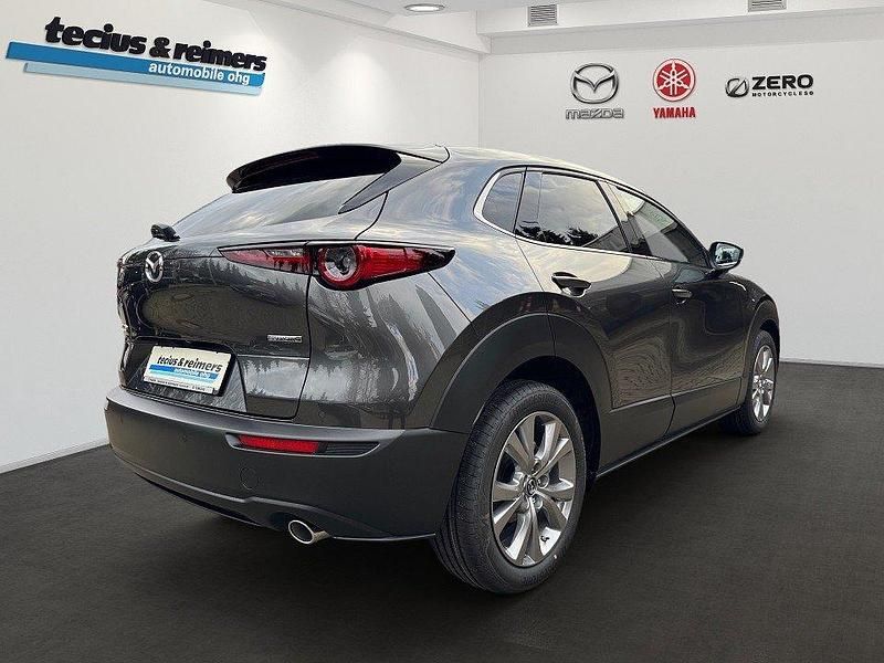 Gebraucht Mazda CX-30 Exclusive-Line 140 PS (102 kW) 2025 SUV