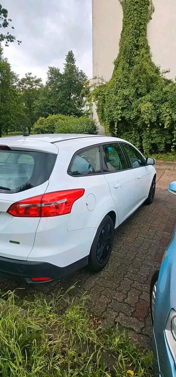 Gebraucht Ford Focus 125 PS (91 kW) 2016 Weiß Kombi