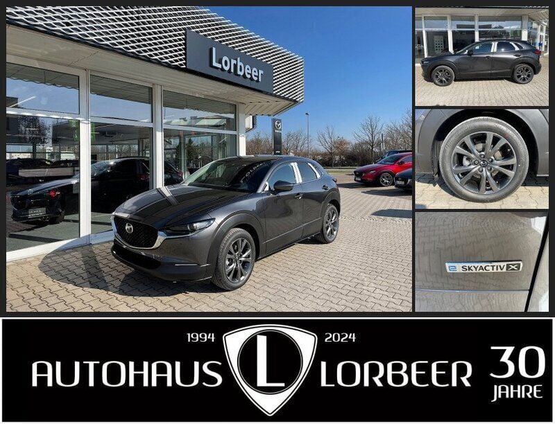 Gebraucht Mazda CX-30 Selection 186 PS (136 kW) 2023 Grau SUV