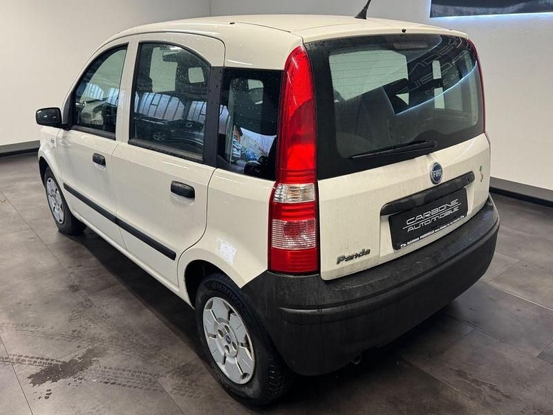 Gebraucht Fiat Panda Active 54 PS (39 kW) 2007 Weiß Kleinwagen