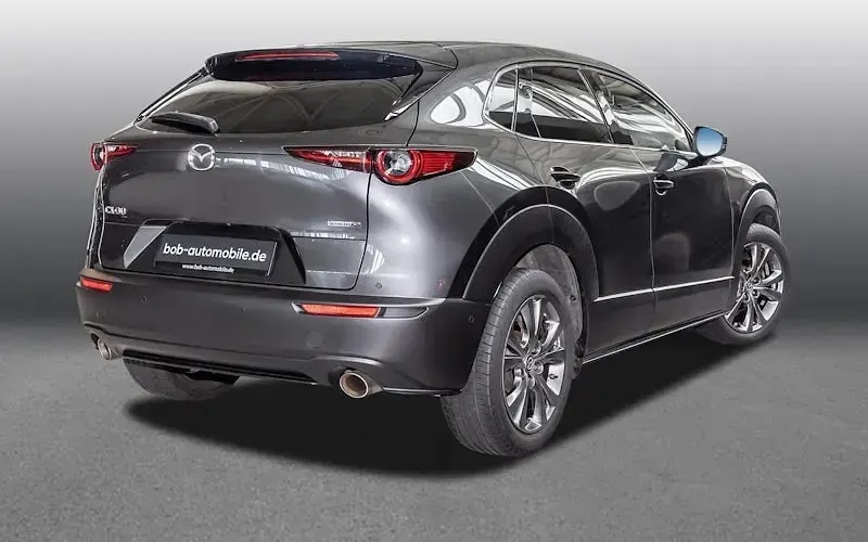 Gebraucht Mazda CX-30 Selection 180 PS (132 kW) 2019 Grau SUV
