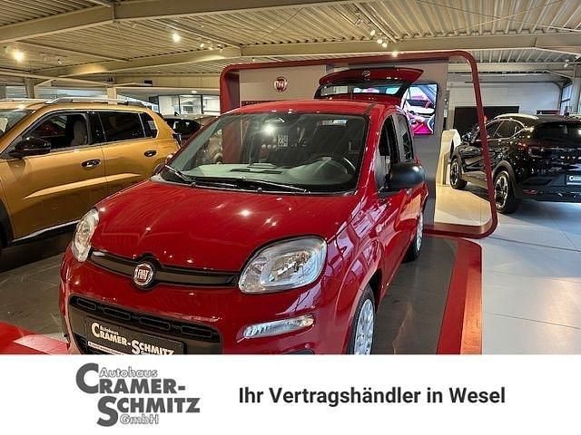 Neu Fiat Panda 69 PS (50 kW) 2025 Rot Kleinwagen