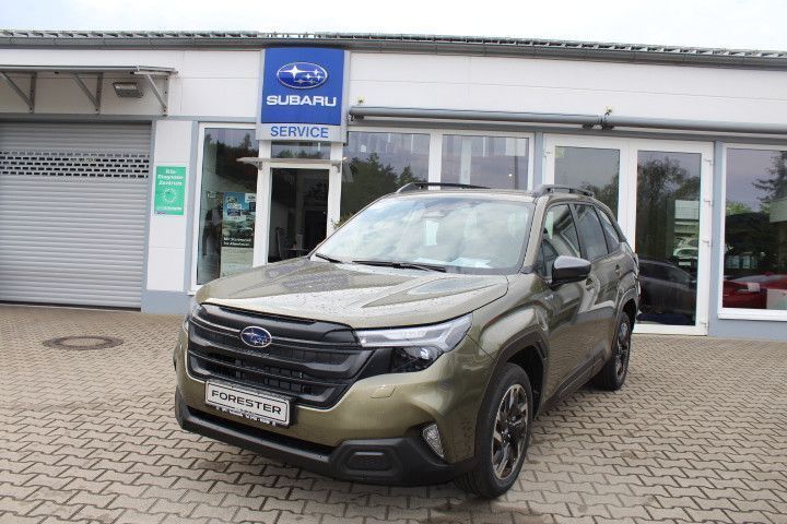 Neu Subaru Forester Trend 136 PS (100 kW) 2025 Grün SUV