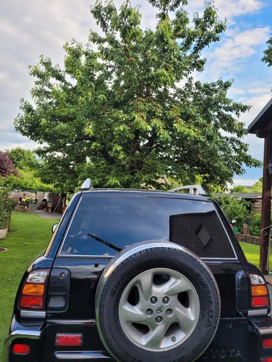 Gebraucht Toyota RAV4 126 PS (92 kW) 2000 Schwarz SUV