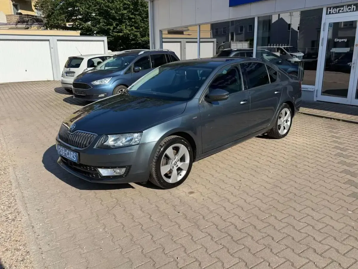 Gebraucht Skoda Octavia Joy 150 PS (110 kW) 2016 Grau Kombi