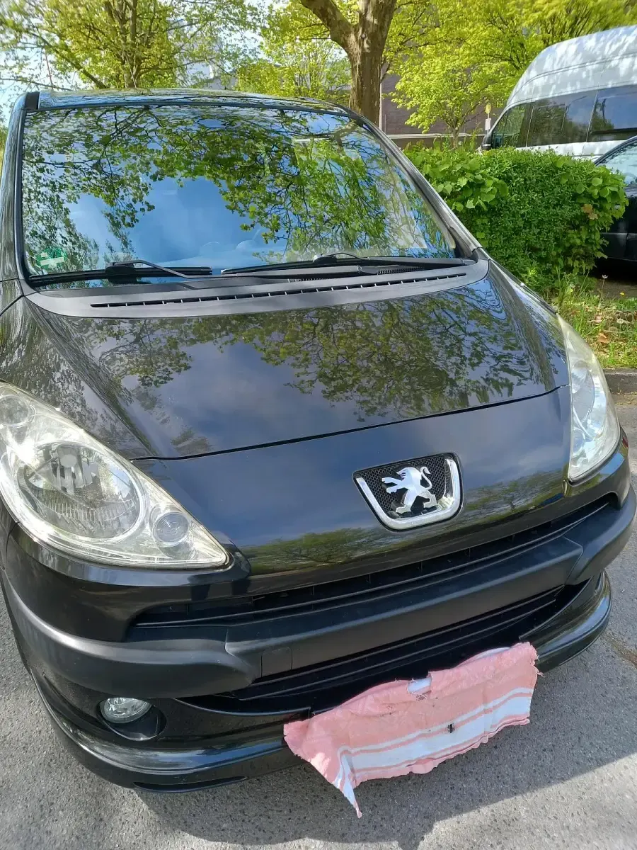 Gebraucht Peugeot 1007 88 PS (64 kW) 2006 Schwarz Van / Kleinbus