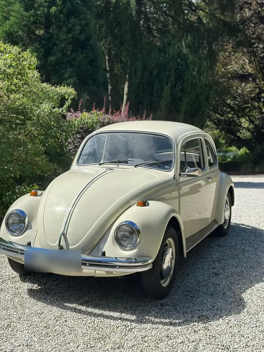 Gebraucht VW Käfer 44 PS (32 kW) 1968 Limousine
