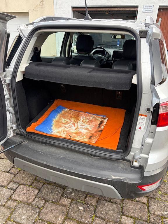 Gebraucht Ford Ecosport Titanium 125 PS (91 kW) 2018 Silber SUV