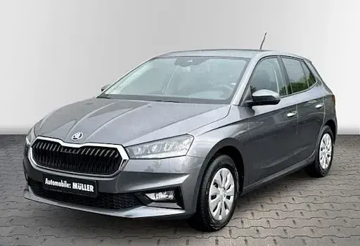 Gebraucht Skoda Fabia Selection 95 PS (69 kW) 2024 Grau Kleinwagen