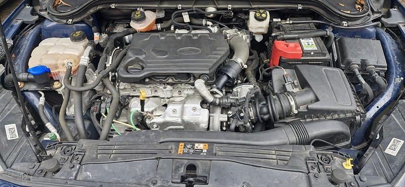 Gebraucht Ford Focus Trend 120 PS (88 kW) 2019 Blau Kombi