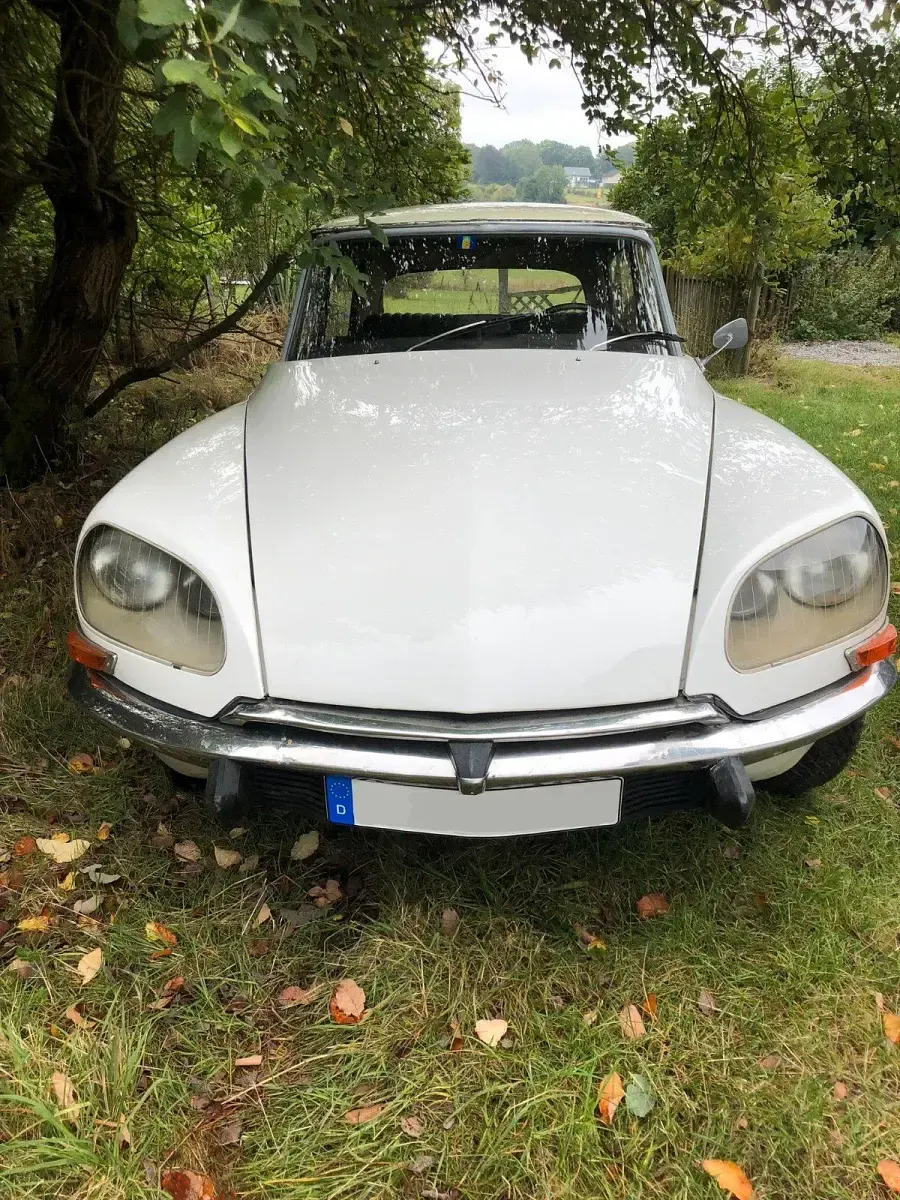 Gebraucht Citroën DS 78 PS (57 kW) 1969 Weiß Limousine