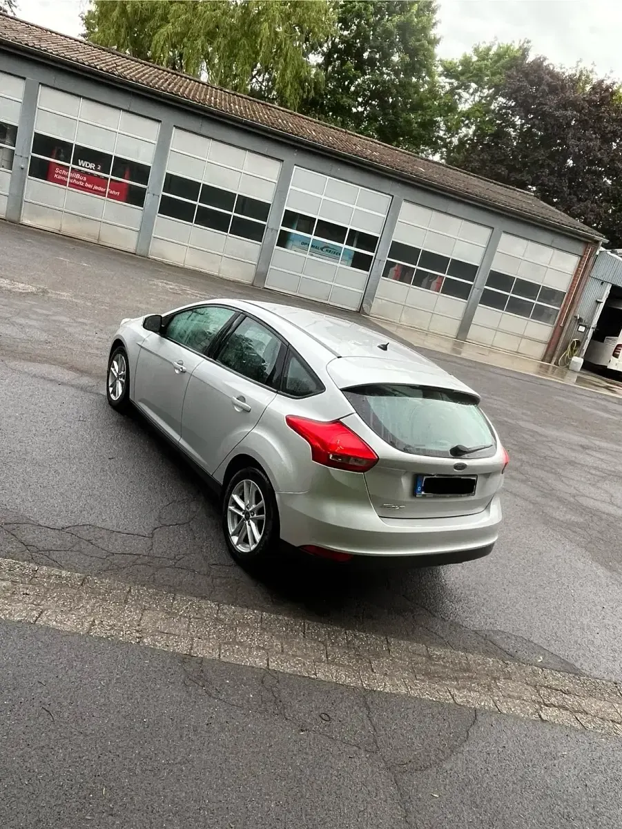 Usata Ford Focus Titanium 125 CV (91 kW) 2015 Argento Utilitaria