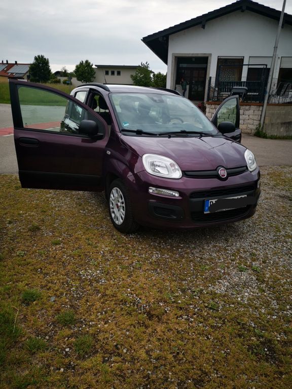 Violet Gebraucht 2014 Fiat Panda Kleinwagen | 5.499 € (Fairer Preis) - Bild 1/4