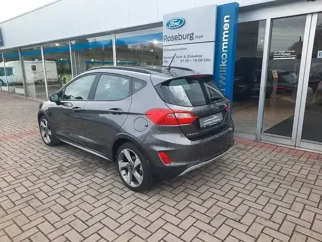 Gebraucht Ford Fiesta Active 125 PS (91 kW) 2019 Grau Kleinwagen