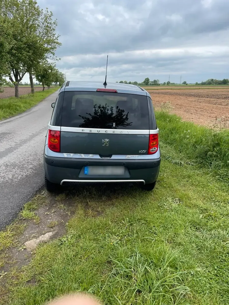 Gebraucht Peugeot 1007 84 PS (61 kW) 2006 Grau Van / Kleinbus