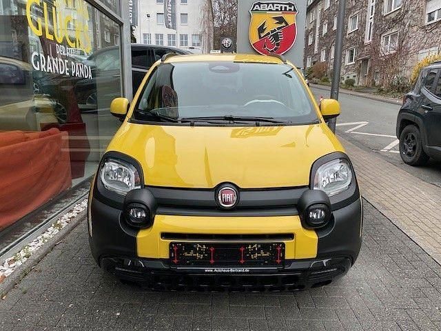 Neu Fiat Panda Cross Cross 69 PS (50 kW) 2025 Gelb Kleinwagen