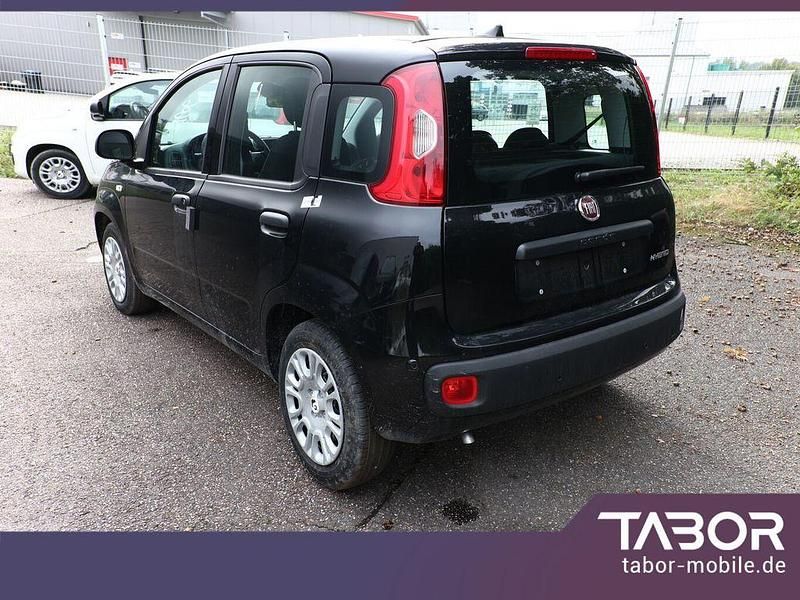 Neu Fiat Panda 69 PS (50 kW) 2025 Schwarz Limousine
