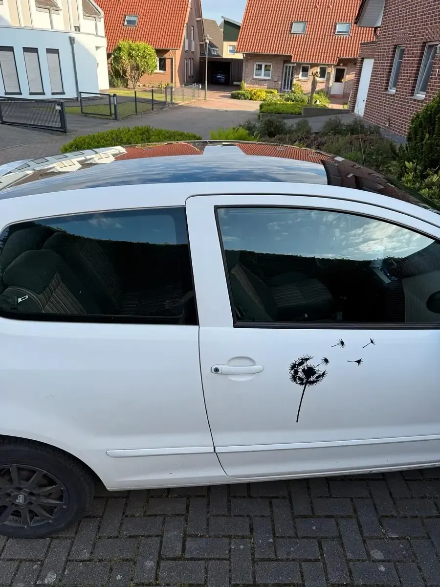 Gebraucht VW Fox 55 PS (40 kW) 2006 Weiß Kleinwagen