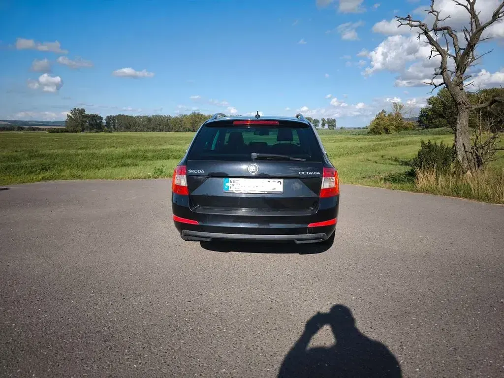Usado Skoda Octavia Elegance 179 CV (131 kW) 2013 Negro Familiar
