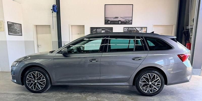 Gebraucht Skoda Octavia Selection 150 PS (110 kW) 2024 Grau Kombi