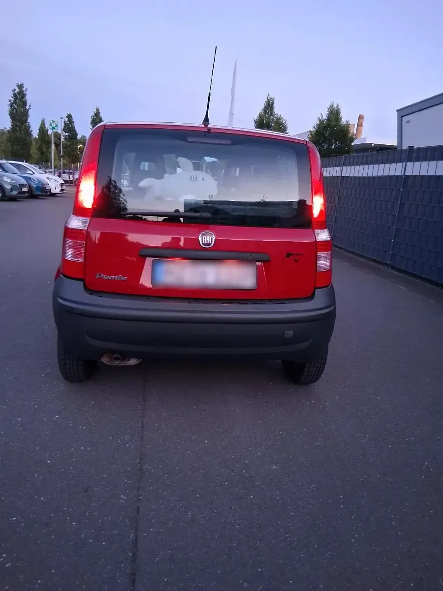 Gebraucht Fiat Panda 55 PS (40 kW) 2010 Rot Kleinwagen