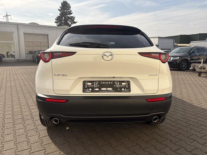 Neu Mazda CX-30 Homura-Line 140 PS (102 kW) 2026 SUV