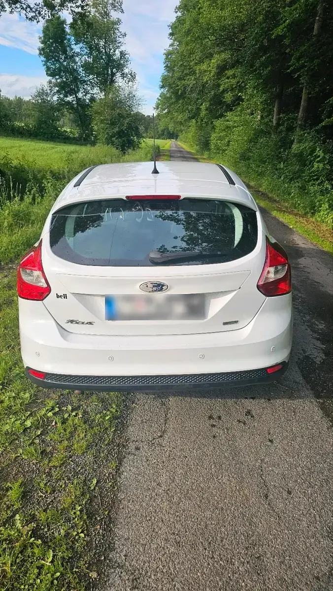 Gebraucht Ford Focus 125 PS (91 kW) 2014 Weiß Limousine