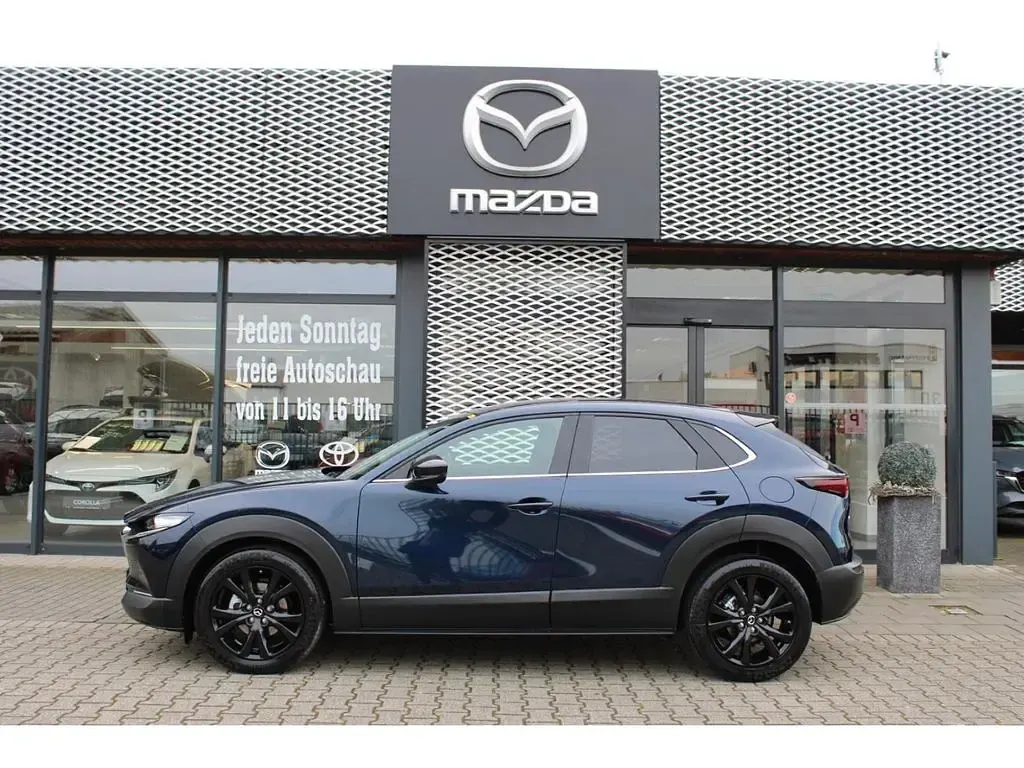 Gebraucht Mazda CX-30 Homura-Line 140 PS (102 kW) 2025 Blau SUV