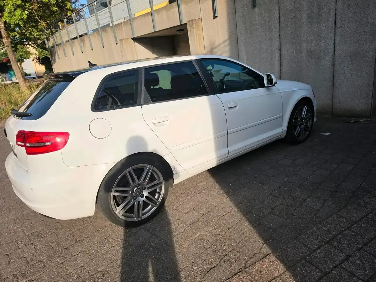 Gebraucht Audi A3 S-Line 160 PS (117 kW) 2009 Weiß Kleinwagen