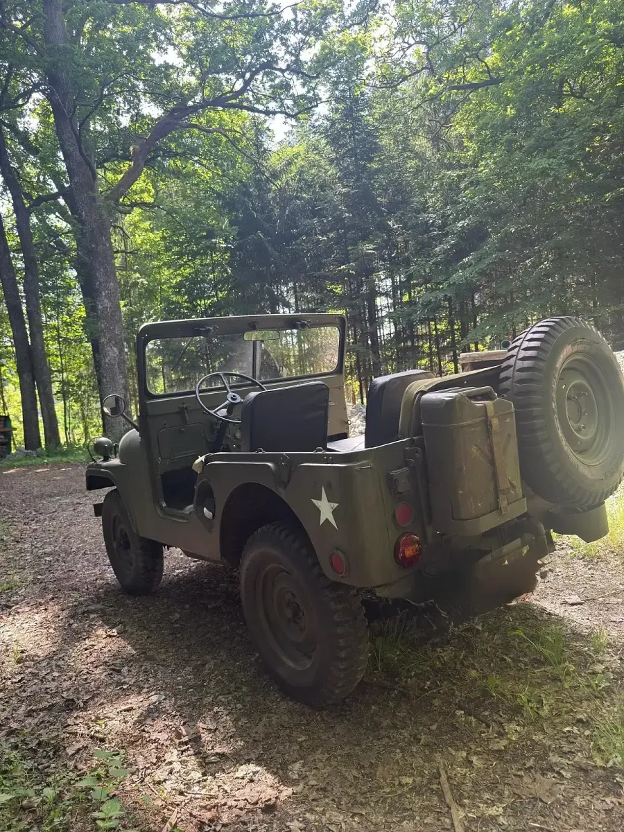 Gebraucht Jeep Willys 72 PS (52 kW) 1952 Beige SUV