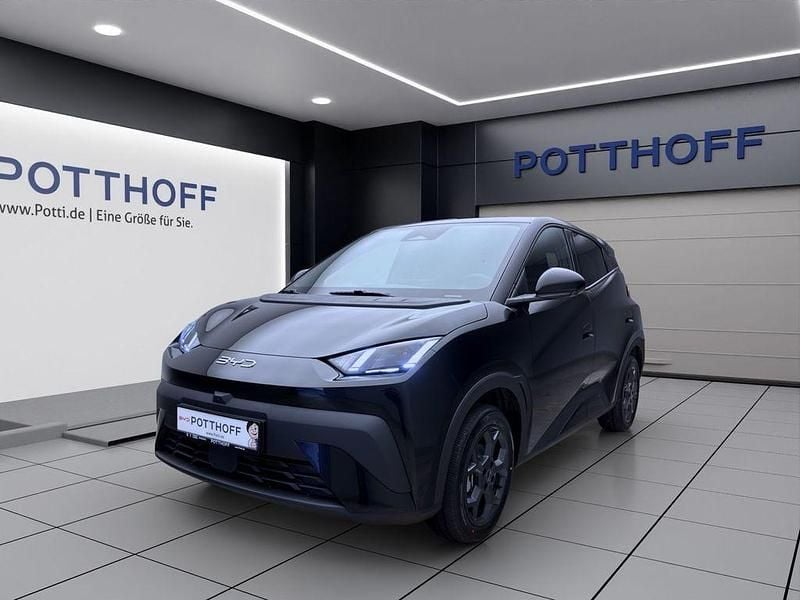 Neu BYD Dolphin Surf Comfort 114 kW (156 PS) 2026 Polar night black Kleinwagen