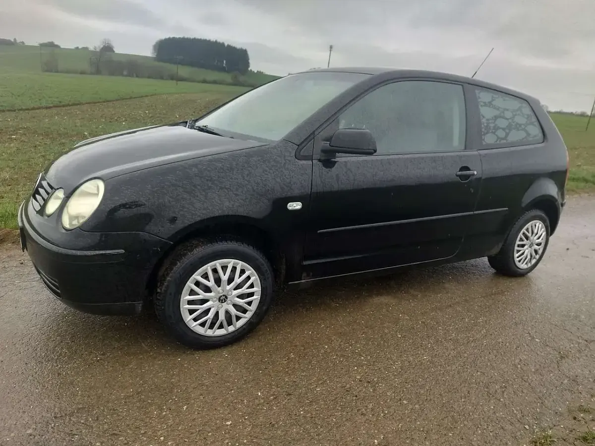 Second-hand VW Polo 64 CP (47 kW) 2004 Hatchback