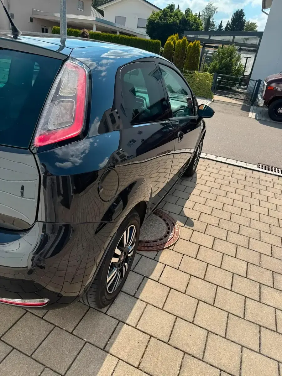 Gebraucht Fiat Punto Young 69 PS (50 kW) 2015 Schwarz Kleinwagen