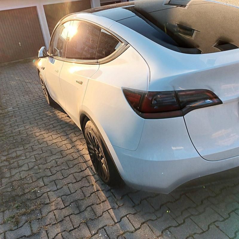 Gebraucht Tesla Model Y RWD 219 kW (299 PS) 2023 Weiß SUV
