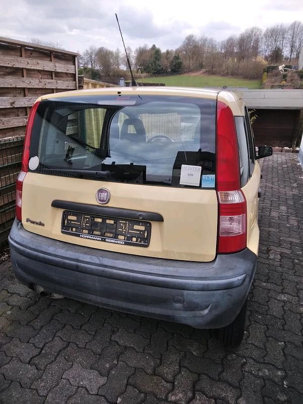 Gebraucht Fiat Panda 60 PS (44 kW) 2009 Gelb Kleinwagen