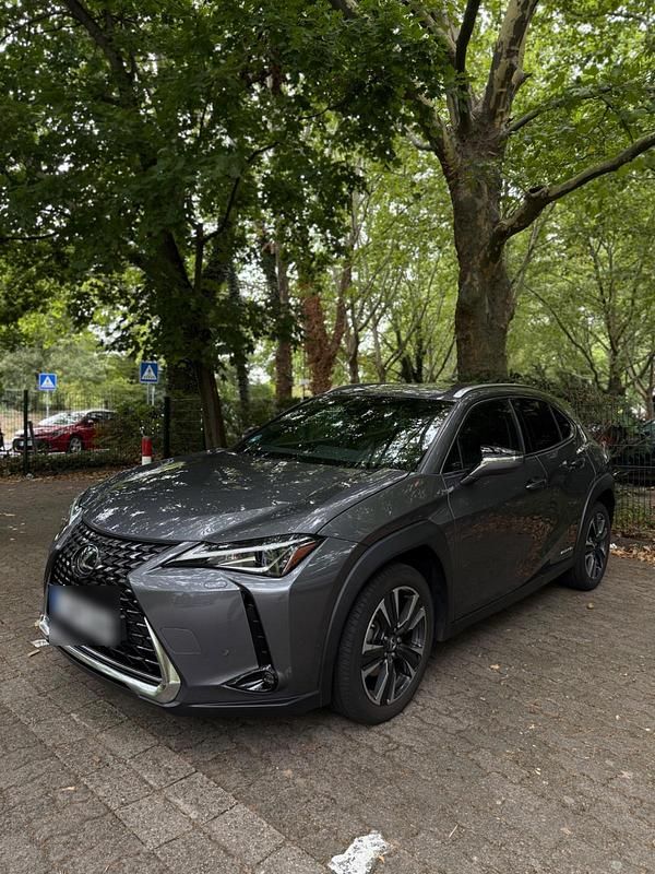 Grau Gebraucht 2020 Lexus UX 250h SUV | 26.900 € (Fairer Preis) - Bild 1/4