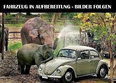 Gebraucht Kia Ceed Spirit 128 PS (94 kW) 2013 Carraraweiss Kleinwagen