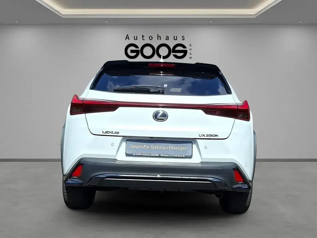 Gebraucht Lexus UX 250h 184 PS (135 kW) 2023 Weiß SUV